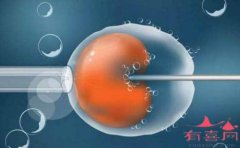 广州供卵试管助孕医院排名-试管婴儿的最